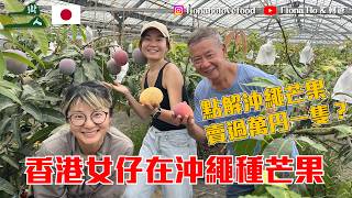 Download lagu Revealing the Secret Behind Japan's Ten-Thousand-Yen Premium Mangoes! A Hong Kong Woman Moves to ... mp3 Download lagu Revealing the Secret Behind Japan's Ten-Thousand-Yen Premium Mangoes! A Hong Kong Woman Moves to ... mp3