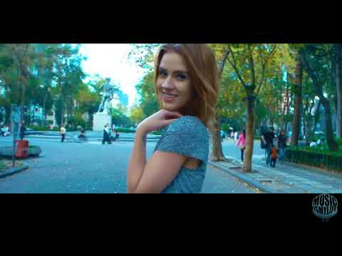 Dubdogz, Liu, Hard Lights - The Lion (feat. Sara Sangfelt Model Video)