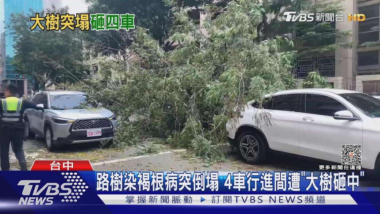驚險!台中南屯路樹倒塌壓車瞬間 交通瞬間停擺