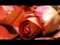 Autumn Love Song | Music Box | Relaxing Music HD ...