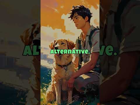 Best Chicken Free Dog Food