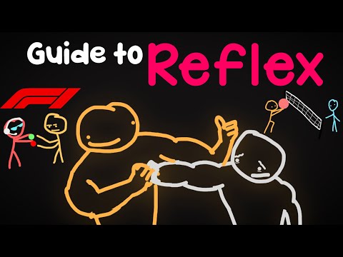 SO You Want FAST REFLEXES For Sports.