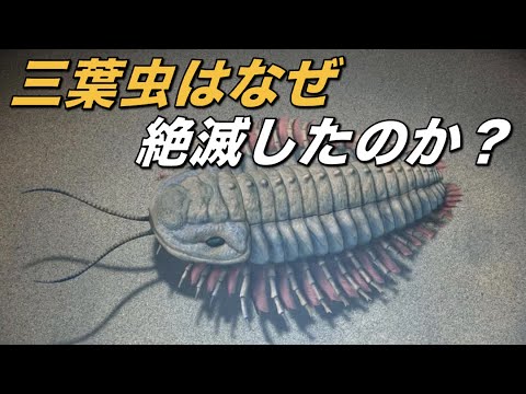 三葉虫 (系統分類)について詳しく解説