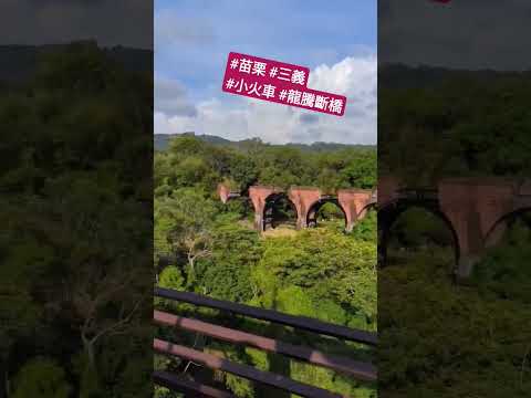 Passeio de bicicleta | Ponte Long Teng | Trem pequeno Miaoli Sanyi | #longtengbridge #台灣 #googlepixel #travel #taiwan #timelapse