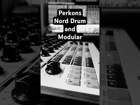 Perkons, Nord Drum and modular synth getting along #shorts