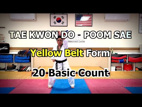 #WBBC Yellow Belt Form   Yellow Belt - 20 Basic Count