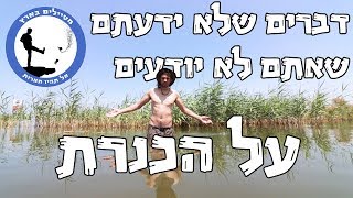 דברים שלא ידעתם שאתם לא יודעים על הכנרת