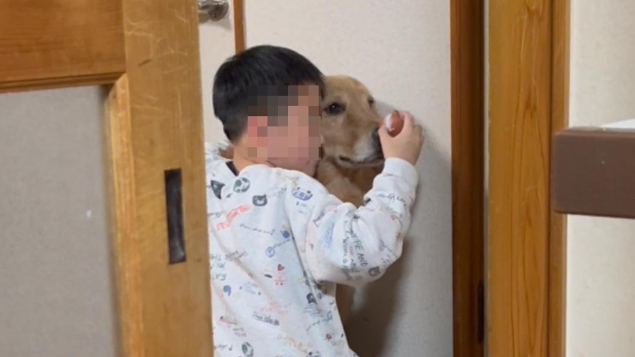 旅行が計画されている中で留守番が確定している父と大型犬