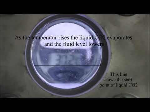 Anidride carbonica supercritica