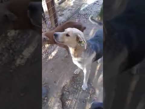 NASRA - Ausgereist 04.12.2020