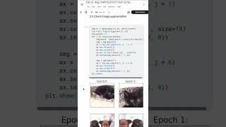 Basic CNN model using PyTorch with Image Augmentation