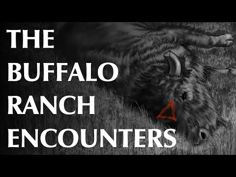 The Buffalo Ranch Encounters