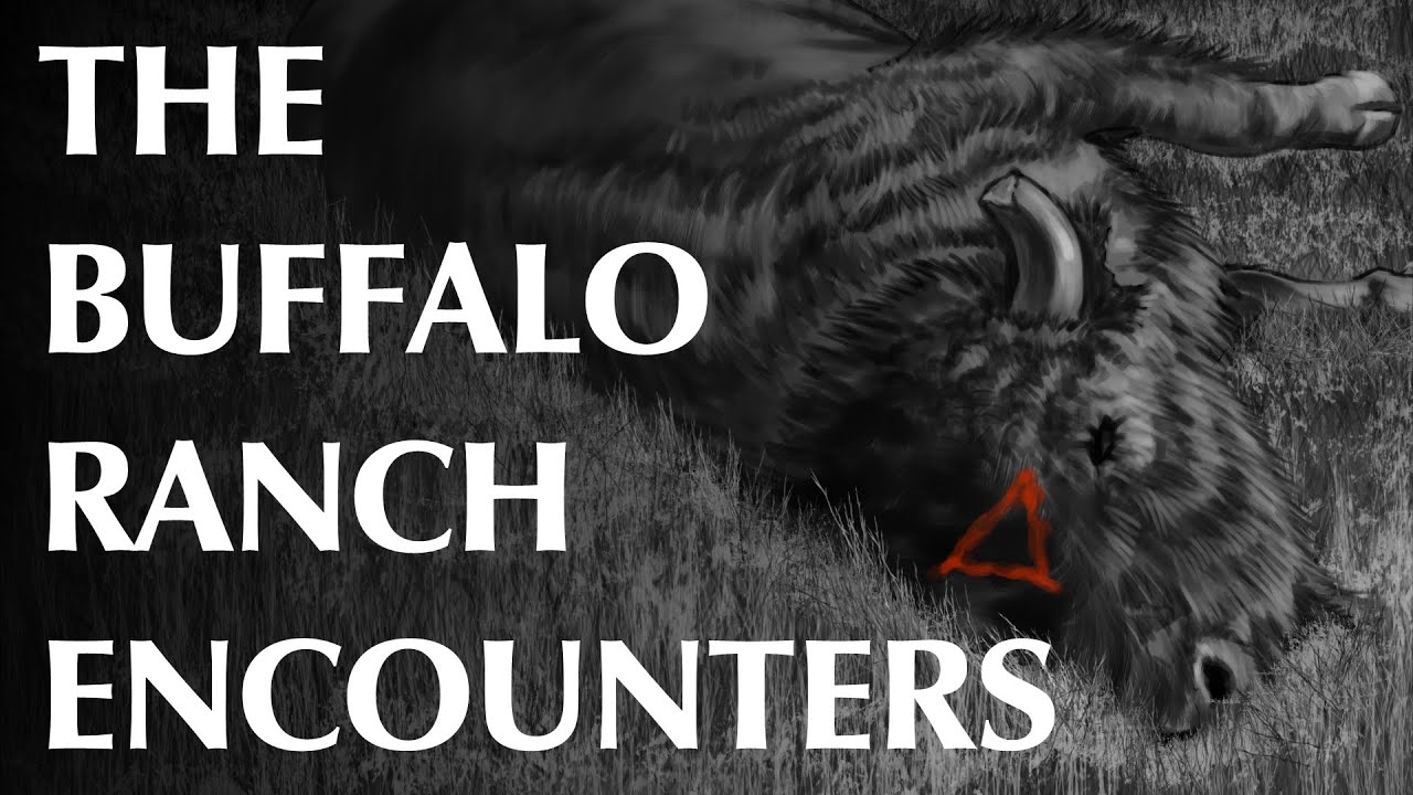 The Buffalo Ranch Encounters