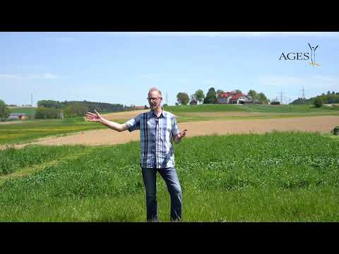 Video 3: INVITE Versuch - Kleegras