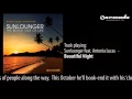06 - Roger Shah pres Sunlounger feat. Antonia ...