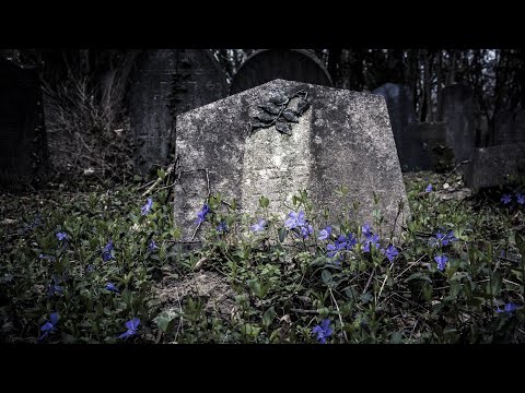 Na rubu znanosti: Zapisano na stećcima - vjera prije religija