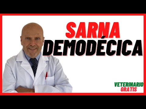 ✅What is RED MANGE or DEMODECIC in DOGS? ✅ by DEMODEX canis ✅ Symptoms and Treatment