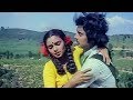 Rojavai Thaalattum Thenral Video Songs Tamil Songs Ninaivellam Nithya Ilaiyaraaja Tamil Hits