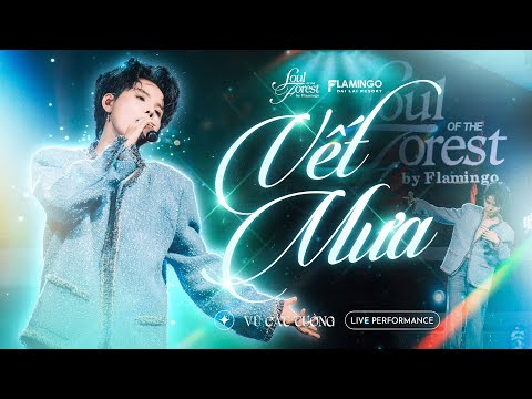 Vết Mưa - Vũ Cát Tường | Live at Soul of The Forest