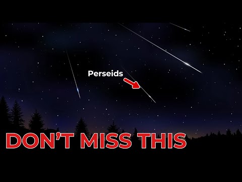 Perseids Meteor Shower 2025 – Everything You Need to KNOW!