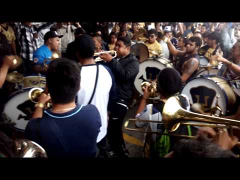 "Quiero salir campeón en este año pumas" Barra: La Rebel &bull; Club: Pumas