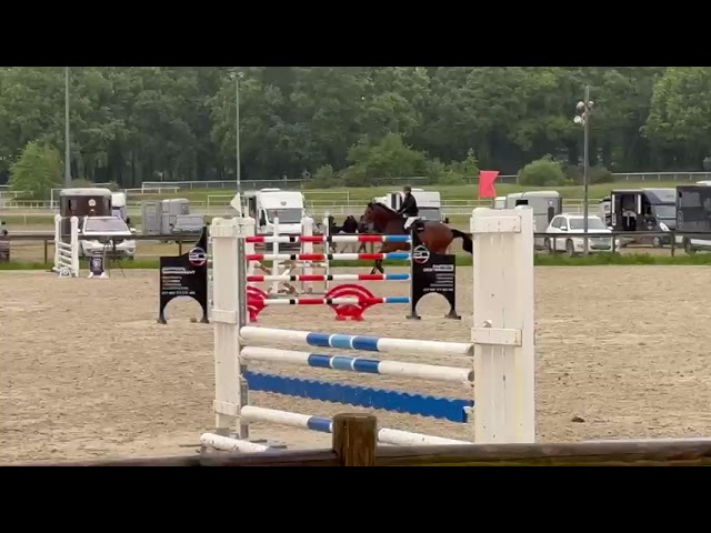 Vends cheval CSO 5 ans