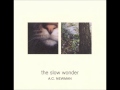 A.C. Newman "The Slow Wonder",2004. Track 09: "The Cloud Prayer"