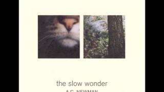 A.C. Newman "The Slow Wonder",2004. Track 09: "The Cloud Prayer"