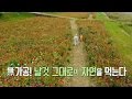 평창서 즐기는 날것 그대로의 로가닉 즐기기 마이 그린 레시피 좋은아침 468