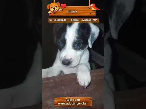 Vídeo de imensa