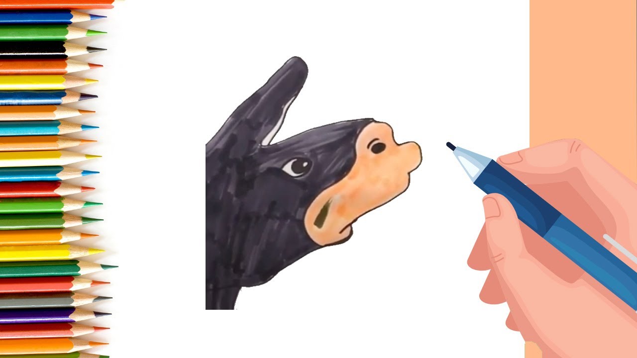 How to Draw Horse Face for Kids