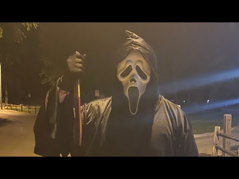 Stabbing in the Park