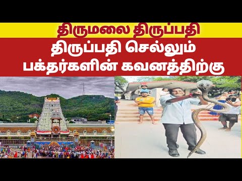 Tirumala breaking news (3-9-2022)|tirumala tirupati updates tamil|tirumala tirupati updates today