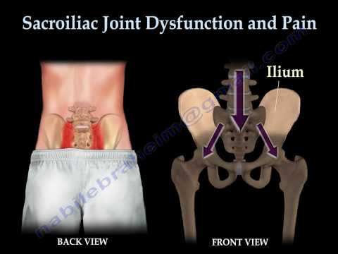 image-What is the lower back joint called?