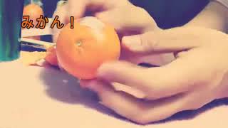 初めて撮影したオレンジ紹介動画…？