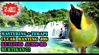 Download lagu Suara Cucak Rante Gacor - Masteran Cucak Rante Full Isian mp3