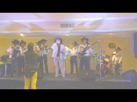 SEDUCTORA EXPLOTADORA Y ALGO MÁS SENTIMIENTO DEL NORTE CALI