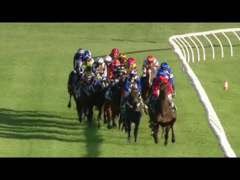 Leicester | South Australian Derby 2018