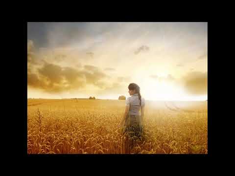 Clip For Tzipi - At Telhi basade