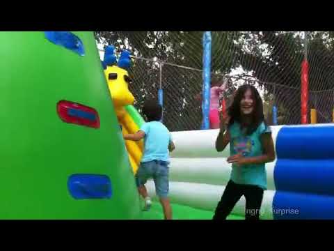 Panda Bouncy Slide