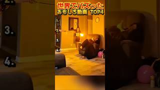 【俺の厳選】世界でバズった動画集🐾Part22