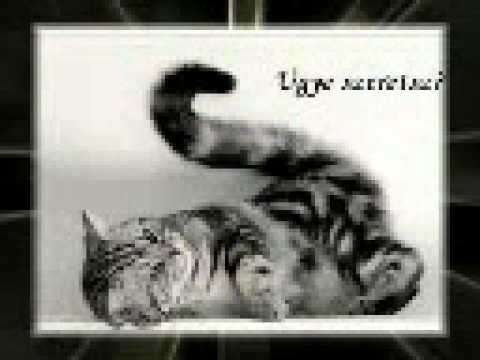 dj harmath feat reni álmaimban.mp4