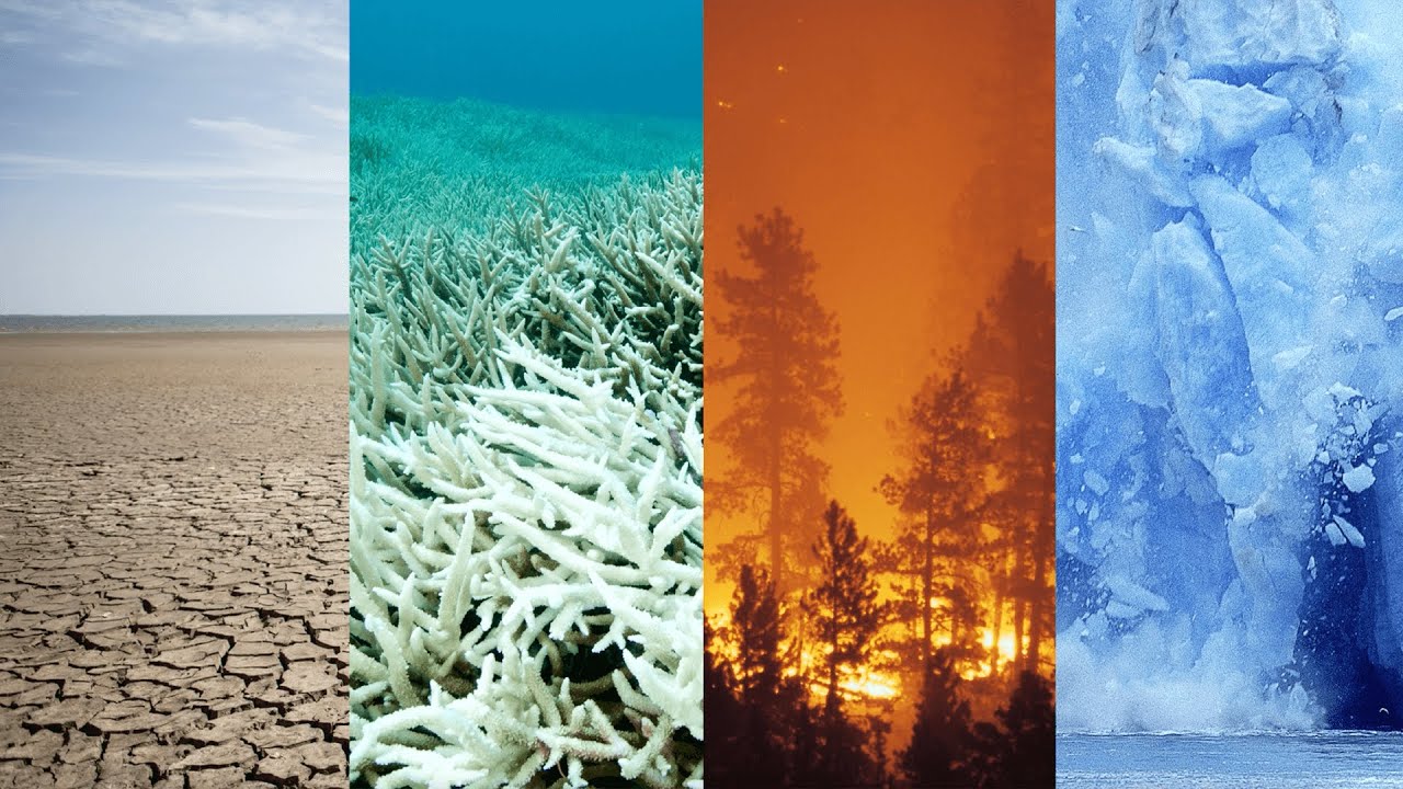 Paving the Way for the Global Methane Pledge