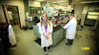 What can the LSU College of Science offer you