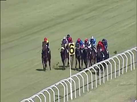 2017.06.25 Premio Primi Passi (ITA) - Ipompieridiviggiu