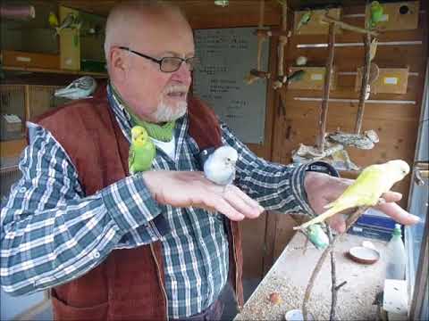 2018 04 24 Der Wellispielfilm des Tages