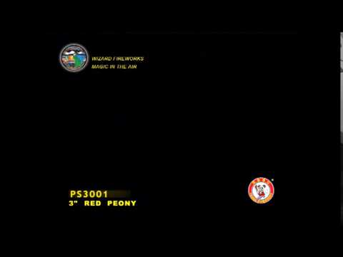 SA075PE01 - 3 INCH SHELL - WIZARD FIREWORKS - PS3001