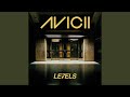 Levels (Instrumental Radio Edit)