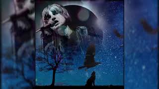 The Fall : I Am Damo Suzuki (Rough Mix)