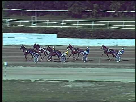 Trotto 17/09/2015 - 1° prova di qualifica